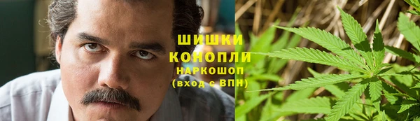 apvp Богородск