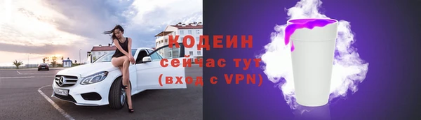 spice Бородино