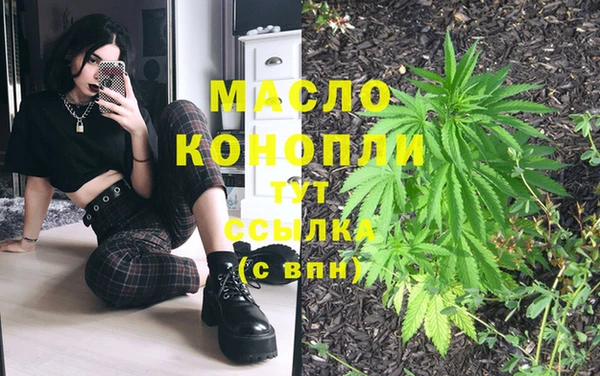 spice Бородино