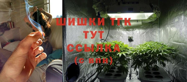 apvp Богородск