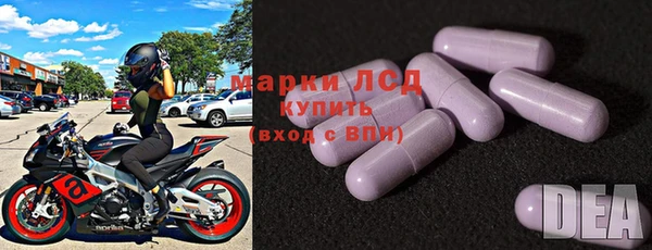spice Бородино