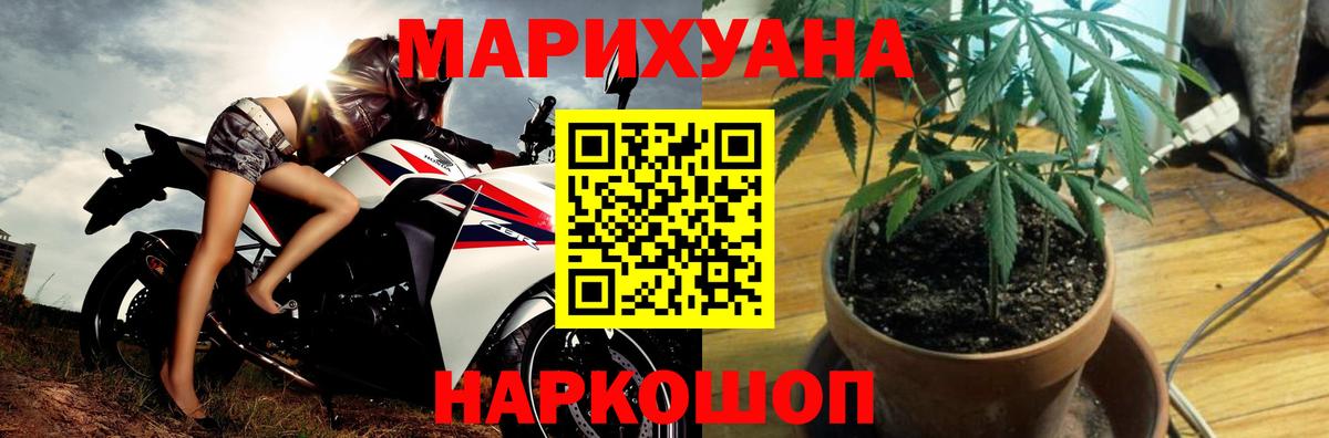 Гусев  Шишки марихуана конопля  Бошки Шишки марихуана  Конопля тримм  Вход с VPN 